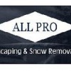 All Pro Landscaping & Snow Removal