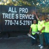 All Pro Tree Service