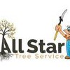 Huntsville Al Tree Service