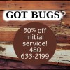 All Statewide Termite & Pest Control