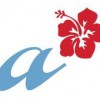 Aloha Movers