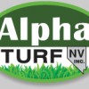 Field Turf Of Nevada