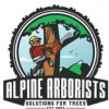 Alpine Arborist Pro Tree Care