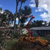 Always Trimming Tree Specialists