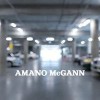 Amano McGann Security