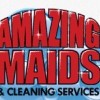 Amazing Maids Of Washington