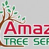Amazon Tree Service