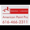 American Painting Pros