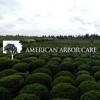 Socialights By Amer Arbor Care
