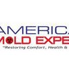 American Mold Experts