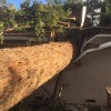 American Tree Experts