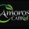 Amoroso Cabinets