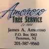 Amoroso Tree Service