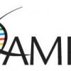 Amp International