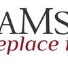 AMS Fireplace