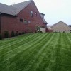 Andrew & Ben's Lawn Care