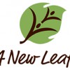A New Leaf