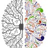 The Academy Of Neuroscience For Architecture