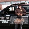 Animal Control Experts