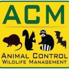 A Animal Control Management