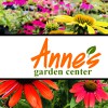 Anne's