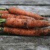 Annies Heirloom Seeds