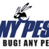 Any Pest