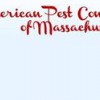 American Pest Control Of Massachusetts