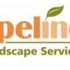 Apelinc Landscape Services