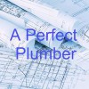 A Perfect Plumber