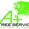 A Plus Tree Svc