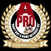 A Pro Home Inspection Svc