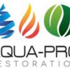 Aqua-Pro Restoration
