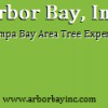 Arbor Bay Tree Service Pinellas