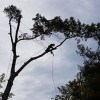 Arborcare Ropes & Saddles
