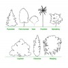 Arbor Expert