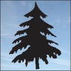 Arbor Magic Tree Services