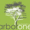 Arbor One Tree Specialist