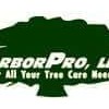 Arbor Pro