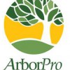 Arbor Pro Tree Experts