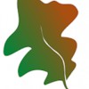 Arbortec Tree Service