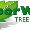 Arborwise Tree Service