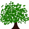 Arborworks