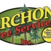 Archon Tree Services