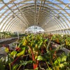 Archsolar