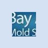 Bay Area Mold Services