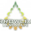 Arrowleaf Landscape