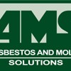 Asbestos & Mold Solutions