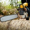 Ashe Tree Removal & Stump Grinding