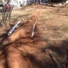 Asheville Gutter Cleaning & Maintenance